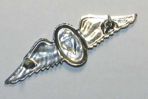 SADF - Freefall Parachute Instructor Mess Dress Wing