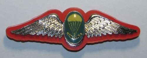 SADF - Static Line Parachute Instructor Full Size Wing