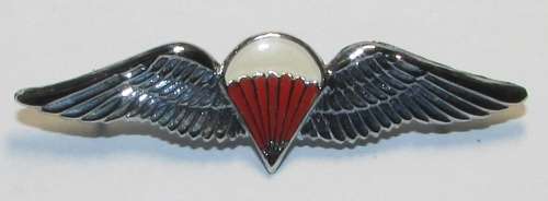 SADF - Full Size Freefall Paracahute Wing