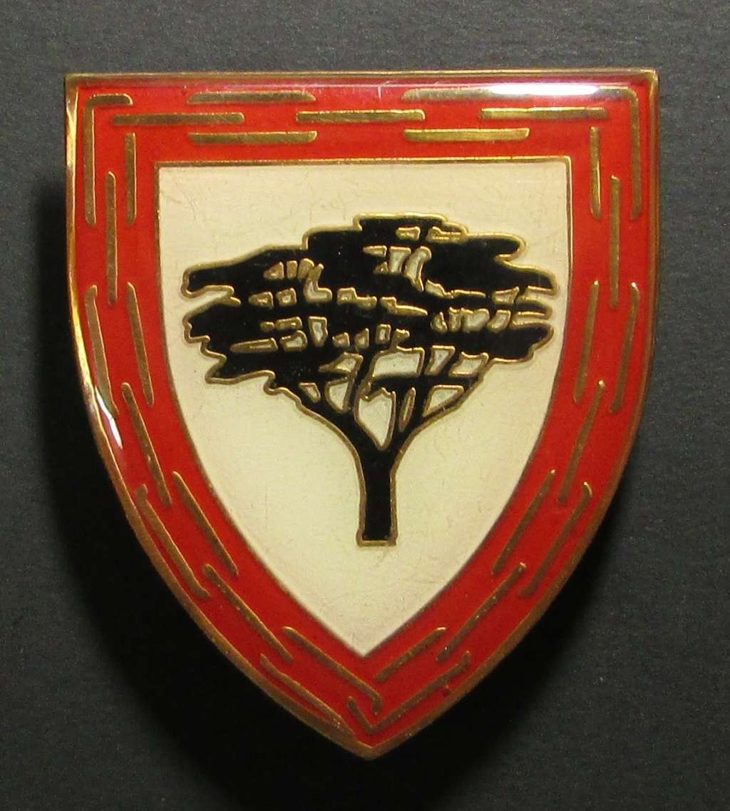 SA Army Shoulder Flash