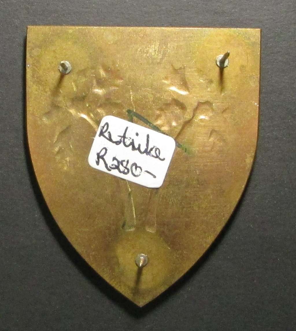 SADF - SWA Provost Shoulder Flash