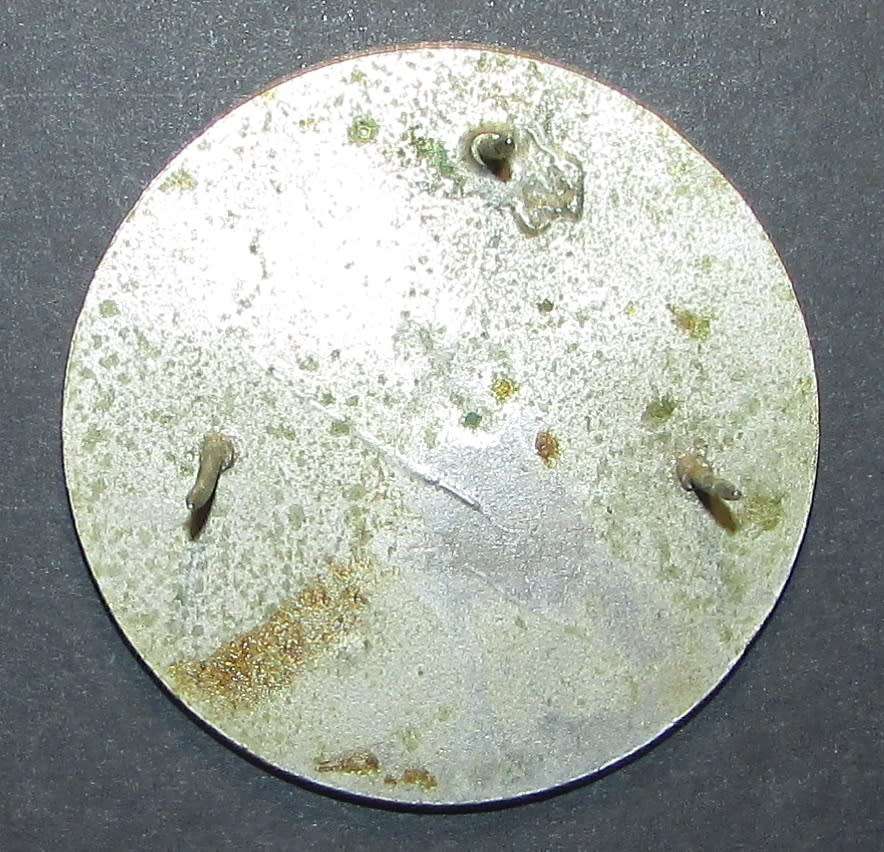 SADF - South West Africa (SWA) 201 Battalion Beret Badge ( Early Type )