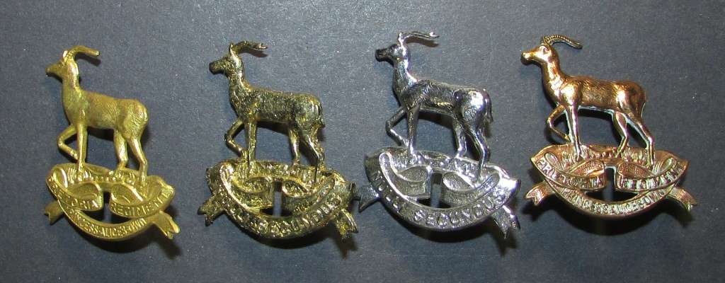 SADF - Regiment Pretoria Collar Badges