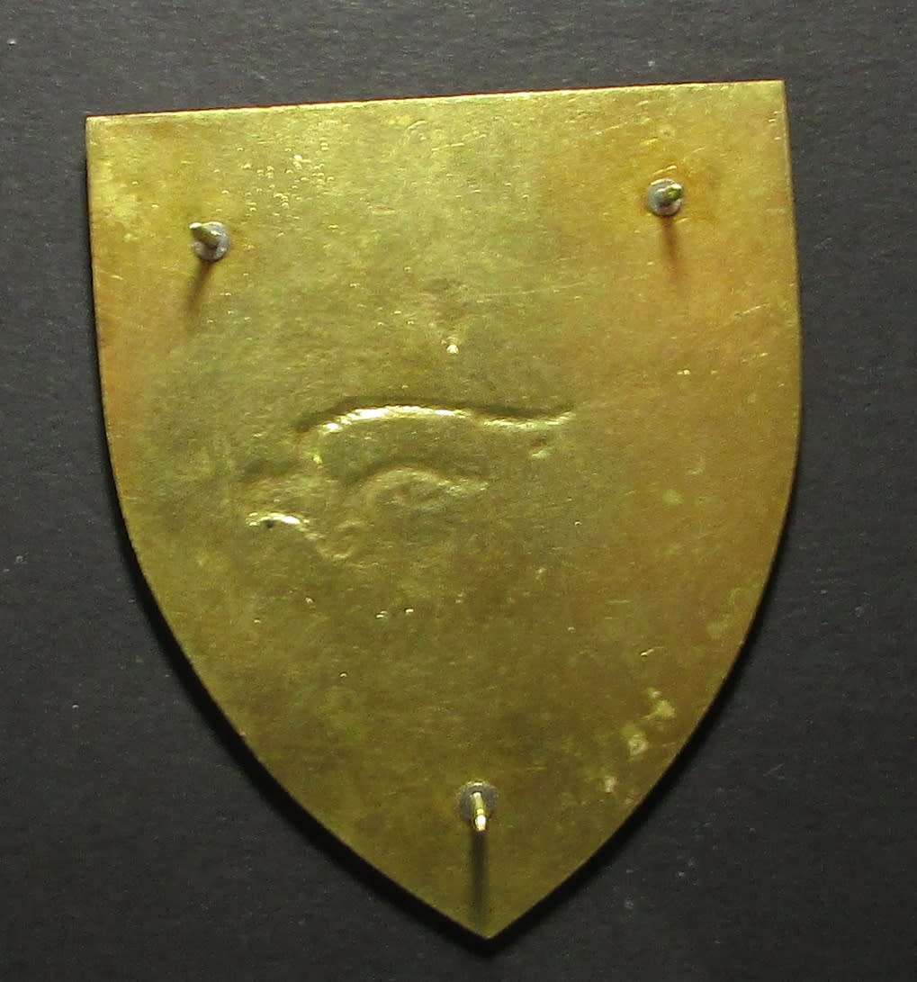 SADF - 3 Parachute Battalion Shoulder Flash