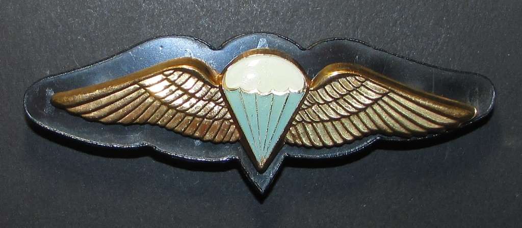 SADF - Full Size Basic Parachute Wing