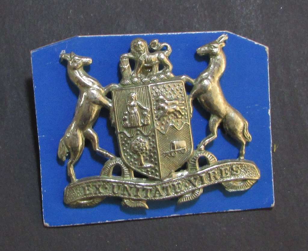 SAS/SAR Railway Cap Badge