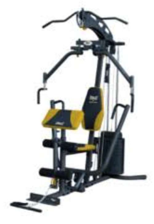 Everlast gym equipment new arrivals