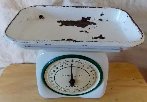 Enamel Krups scale