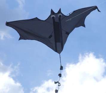 Bat Single Line Kite
