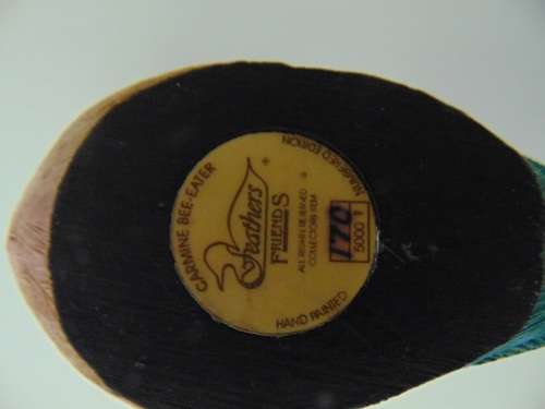 Birds - Bee Eater - Feathers of Knysna Wooden Birds