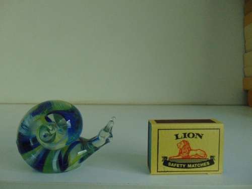 Ngwenya Glass Snail with Blue and Yellow colour swirl