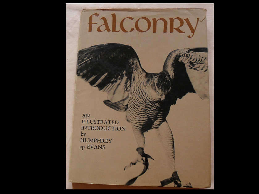 Falconry (Humphrey ap Evans)
