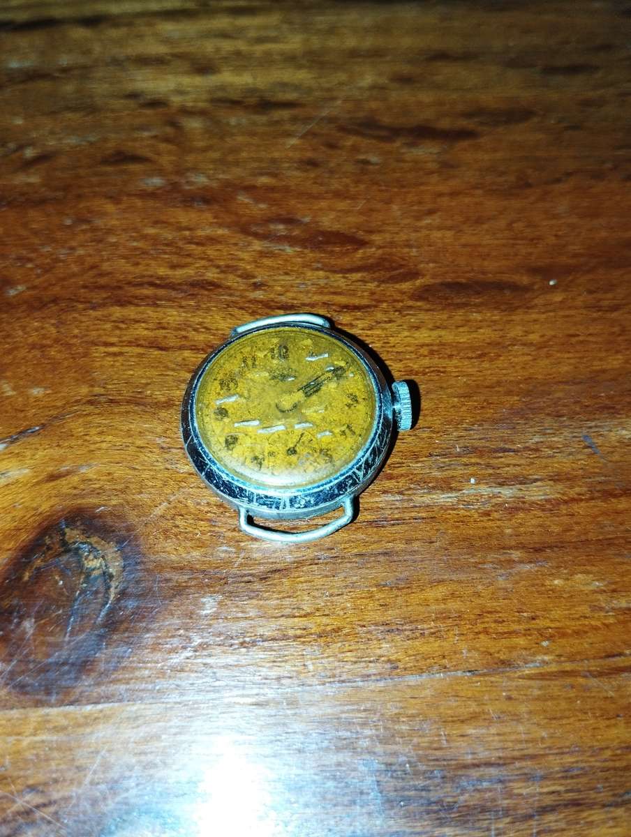 Vintage Watch: Rotary