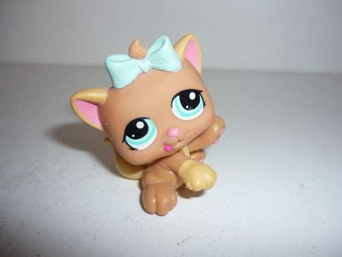 THE LITTLEST PETSHOP
