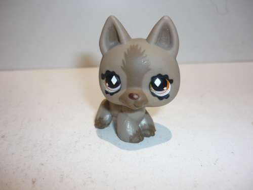 THE LITTLEST PET SHOP