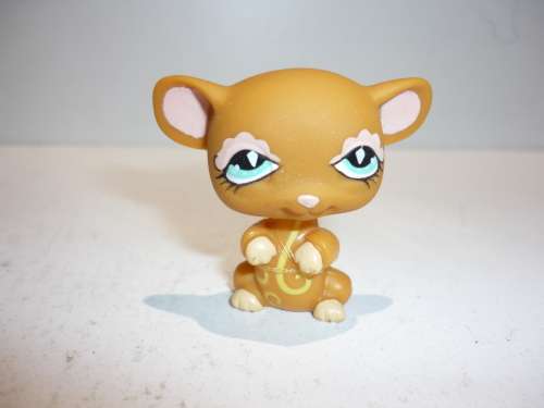THE LITTLEST PET SHOP
