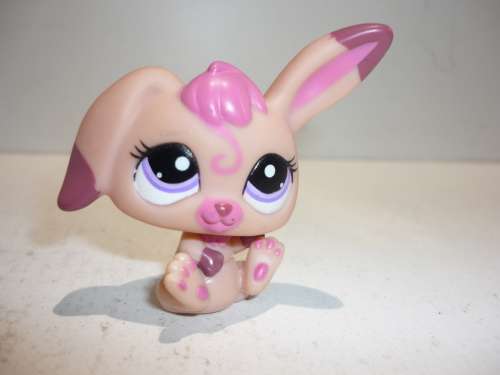 THE LITTLEST PET SHOP