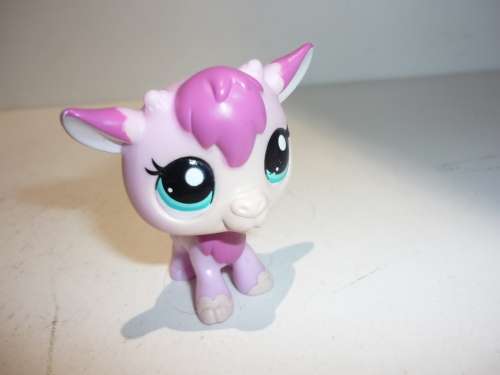 LITTLEST PET SHOP