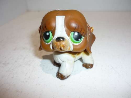 LITTLEST PET SHOP