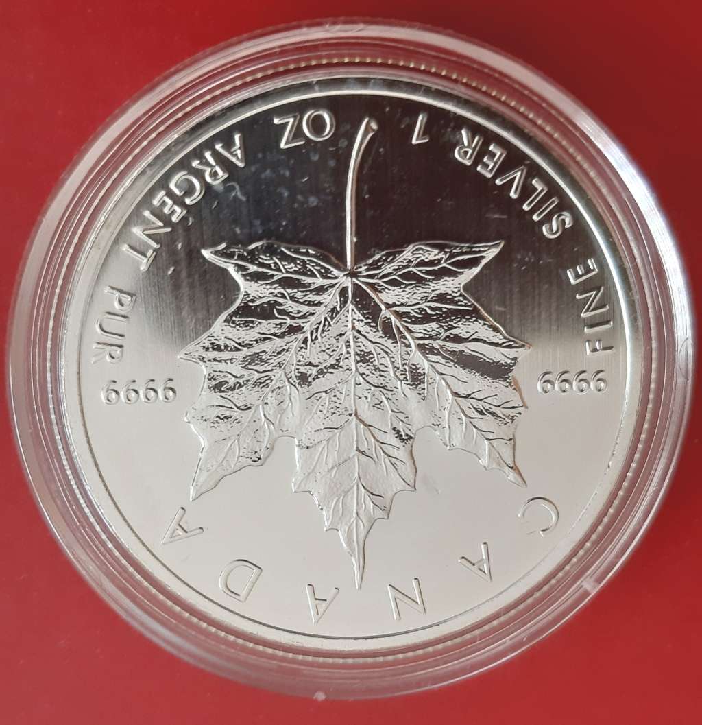 2013 CANADIAN MAPLE LEAF 1 Oz ROUND - 10 AVAILABLE