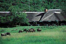 BAKUBANG BUSH LODGE - 6 SLEEPER - 09/12 to 16/12