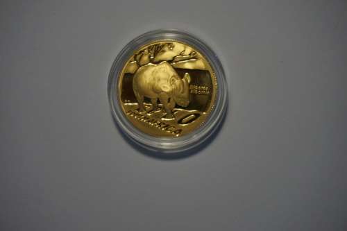 Natura Black Rhino 1/2 oz gold coin (24 carat)