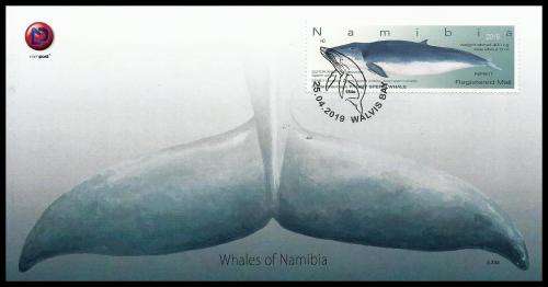 Namibie / Namibia 2019 - WALVISSE(N) / WHALES Reprint / Herdruk (1) FDC 5.33a / Eerste Dag koevert