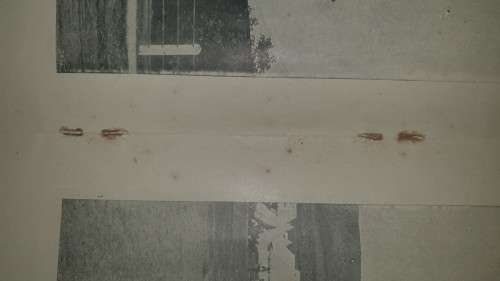 ANGLO BOER WAR - THE SIEGE OF LADYSMITH  By HENRY KISCH 1900 Complete set of pictures