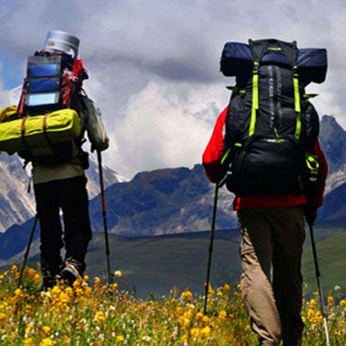 3-Section Carbon Telescopic Nordic Outdoor Walking Trekking Pole Hiking Stick