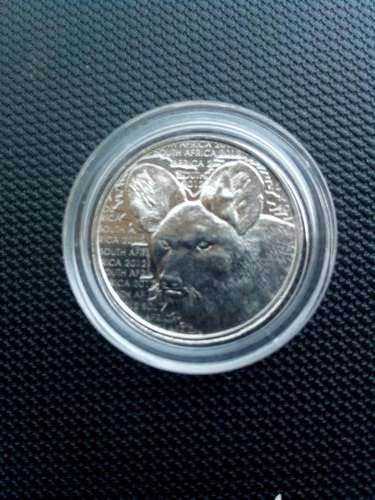 stunning sa mint 2012 wild dog