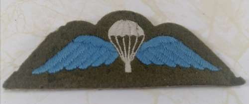 British Para Wings