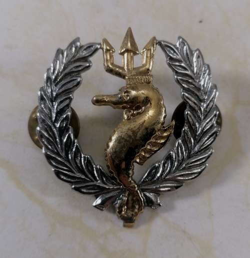 S.A. Navy Indepedent Ships and Air Sea Rescue Flotilla Badge
