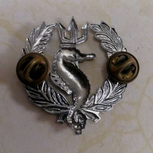 S.A. Navy Indepedent Ships and Air Sea Rescue Flotilla Badge