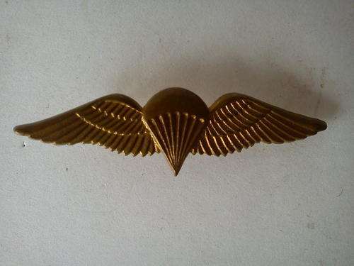 SA Parachute basic wings, mess dress