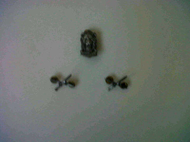 SWA REACTION FORCE INFANTRY