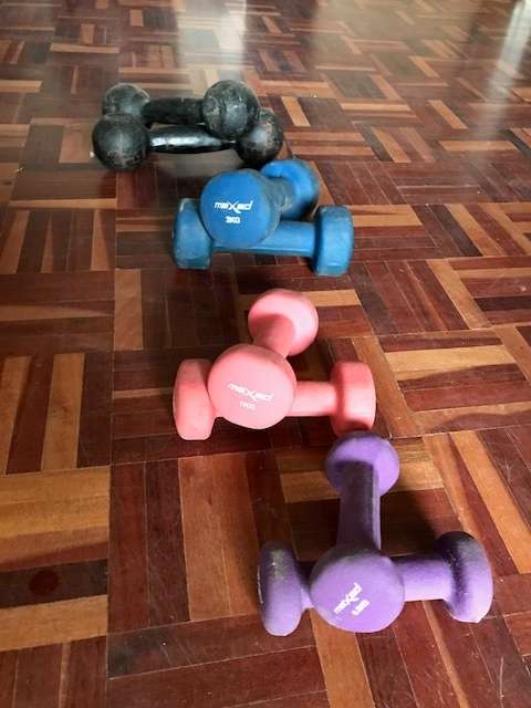 Set of weights with bar and dumbells