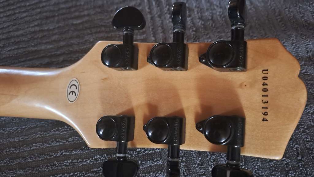 Electric Guitar + Bag + Stand + whammy bar