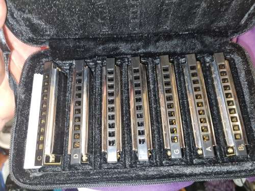 Blues harmonica  set