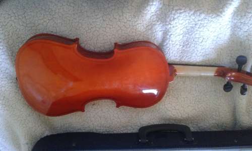 Violin - beginners - strings and hair