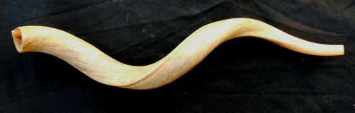 Kudu Horn Shofar --72 cm --