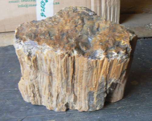 Beautiful Large Piece of a Fossilized Tree - Petrified tree  / Versteende Boom (3)   11.3 kg