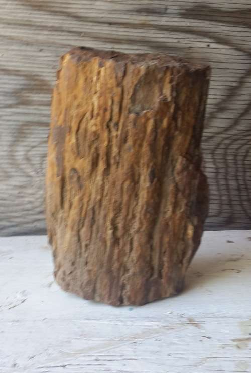 Piece of a Fossilized Tree - Petrified tree  / Versteende Boom (1)   1.6kg