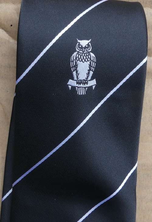 SA Military Intelligence Tie -- Owl -- Militere Intiligensie Das