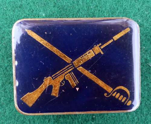 SA POLICE DRILL INSTRUCTOR - BLUE & GOLD LUCITE COVERED BREAST BADGE