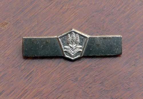SANDF Medal Ribbon Bar Device -- For Full Size Medal