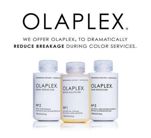 Olaplex Stand-Alone Kit