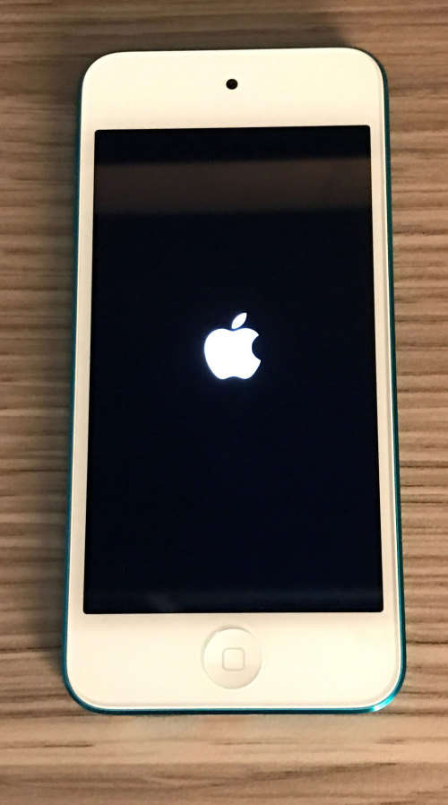 iPod Touch 5th Gen - 32GB