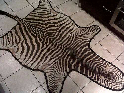 Zebra Skin
