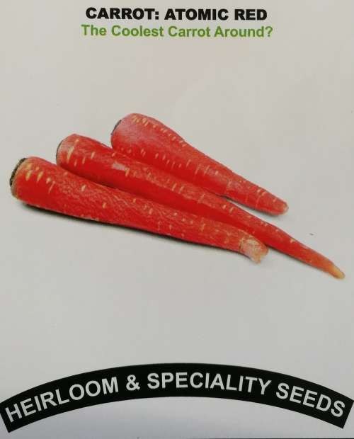 Heirloom and Speciality seeds - CARROT: ATOMIC RED