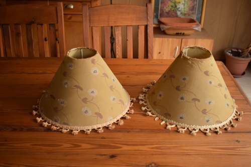 Vintage Lamp Shades x 2